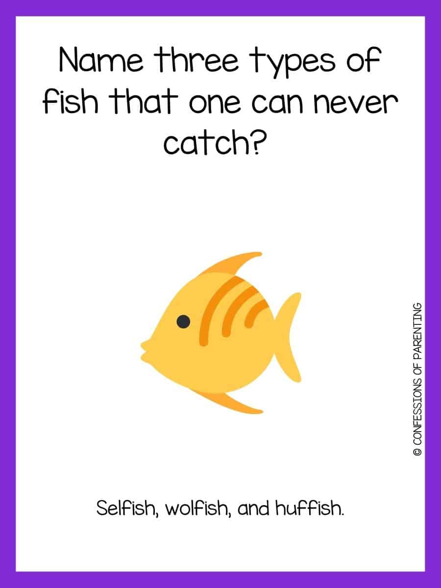 110 Best Fish Riddles That Will Reel You In