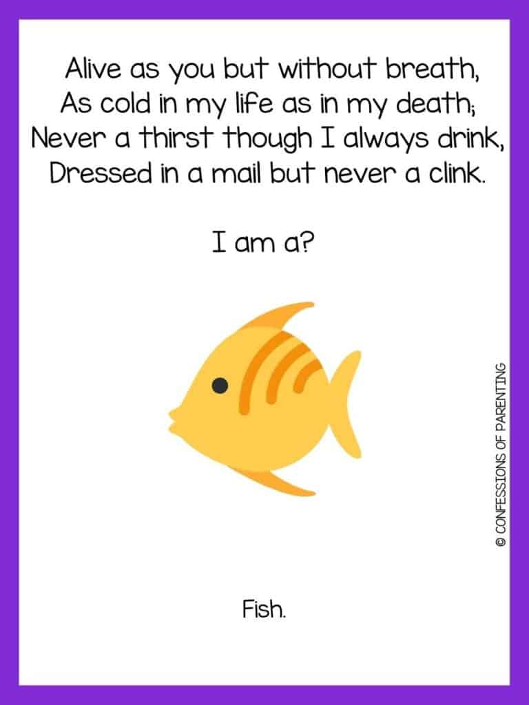 Yellow fish with dark yellow stripes and purple border and fish riddle for kids.
