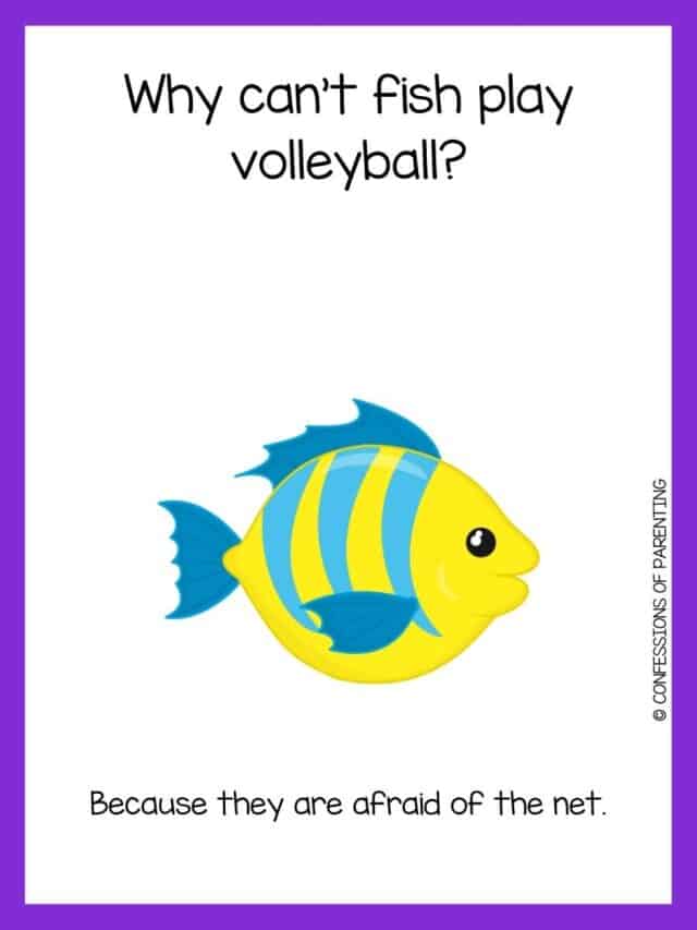 110 Best Fish Riddles That Will Reel You In