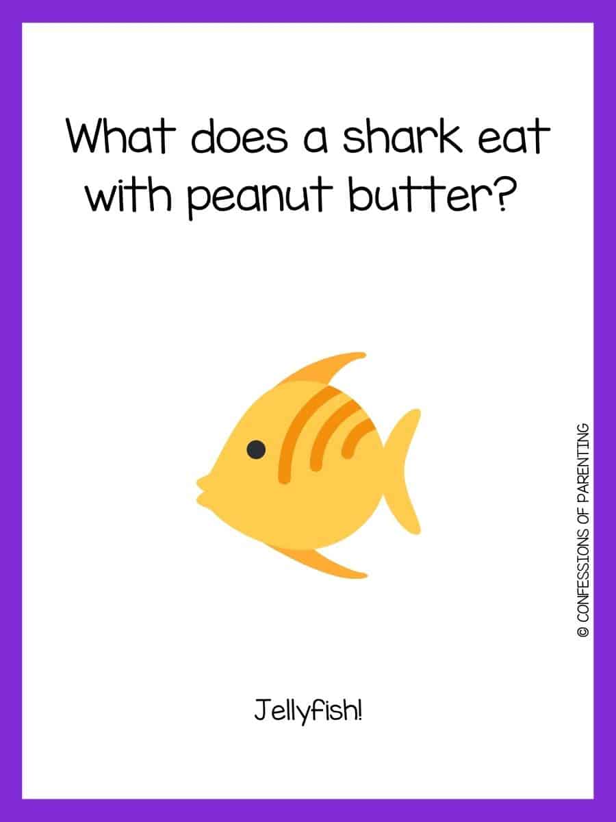 110 Best Fish Riddles That Will Reel You In