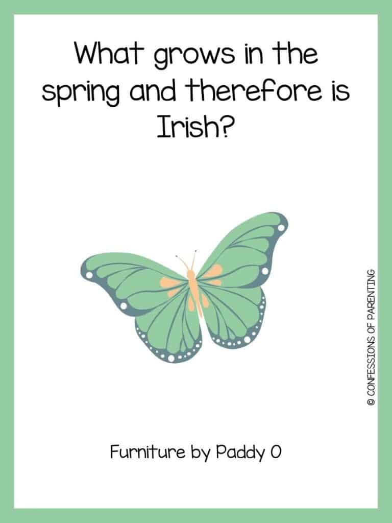 A spring riddle with a green, yellow, and black butterfly with a green border.