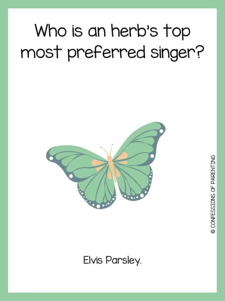 A spring riddle with a green, yellow, and black butterfly with a green border.