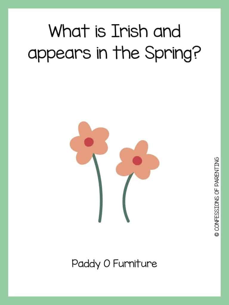 A spring riddle with two peach flowers with green stems and red centers with a green border.