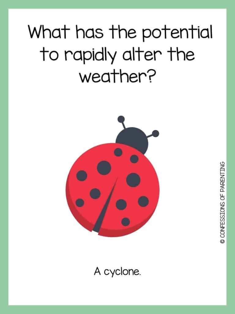 A spring riddle with a black and red ladybug with a green border.