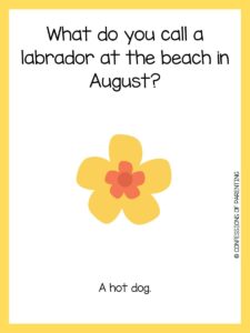 120 Super Silly Summer Jokes For Kids [Free Joke Cards]
