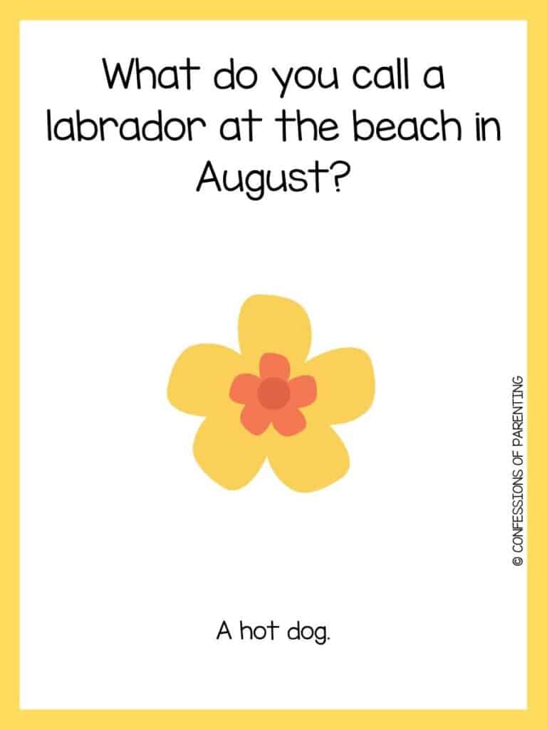Summer joke with white background and yellow border and yellow and orange flower.