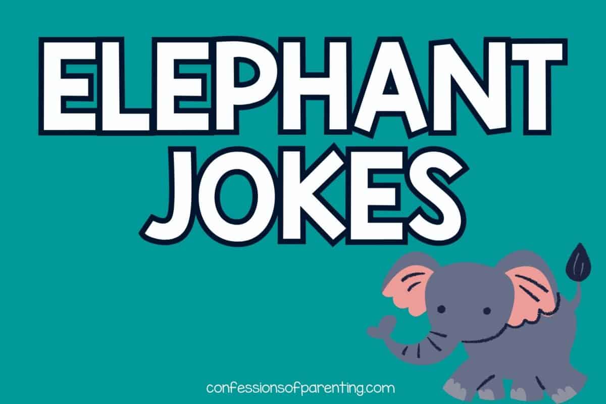 115 Funny Elephant Jokes That Make You LOL