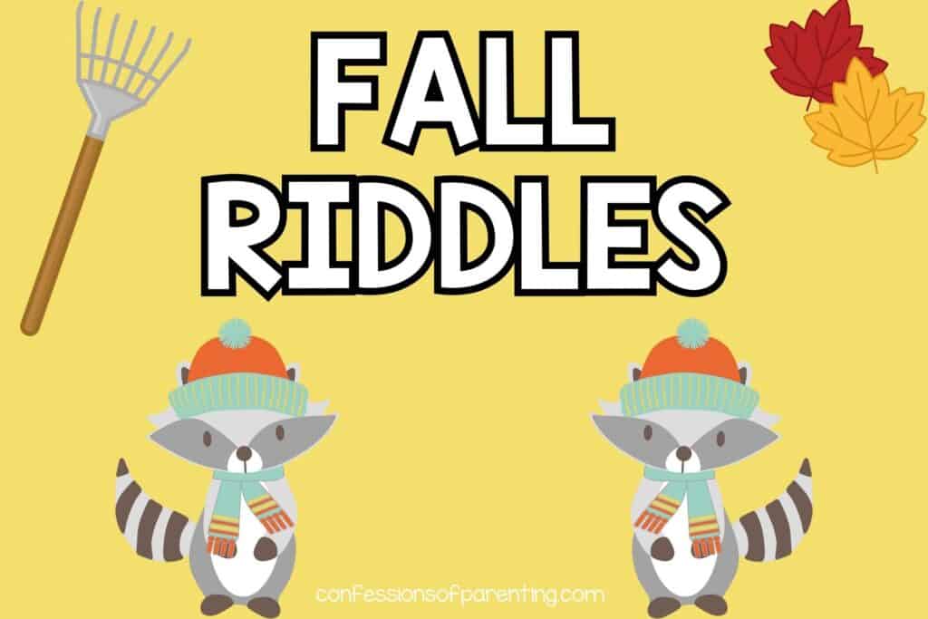 2 raccoons dressed in scarf and hat with rake and a red and yellow leaf on yellow background with white text that says fall riddles. 