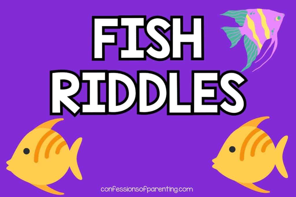 1 purple yellow and green fish and 2 yellow fish on purple background with white text that says "fish riddles"