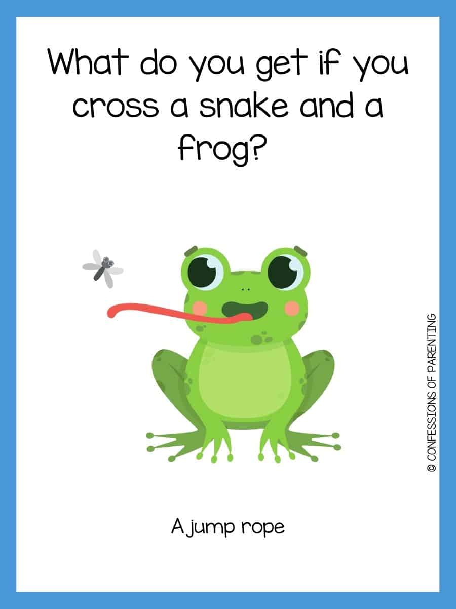 75 Best Frog Jokes That Make You Ribbit [Free Joke Cards]