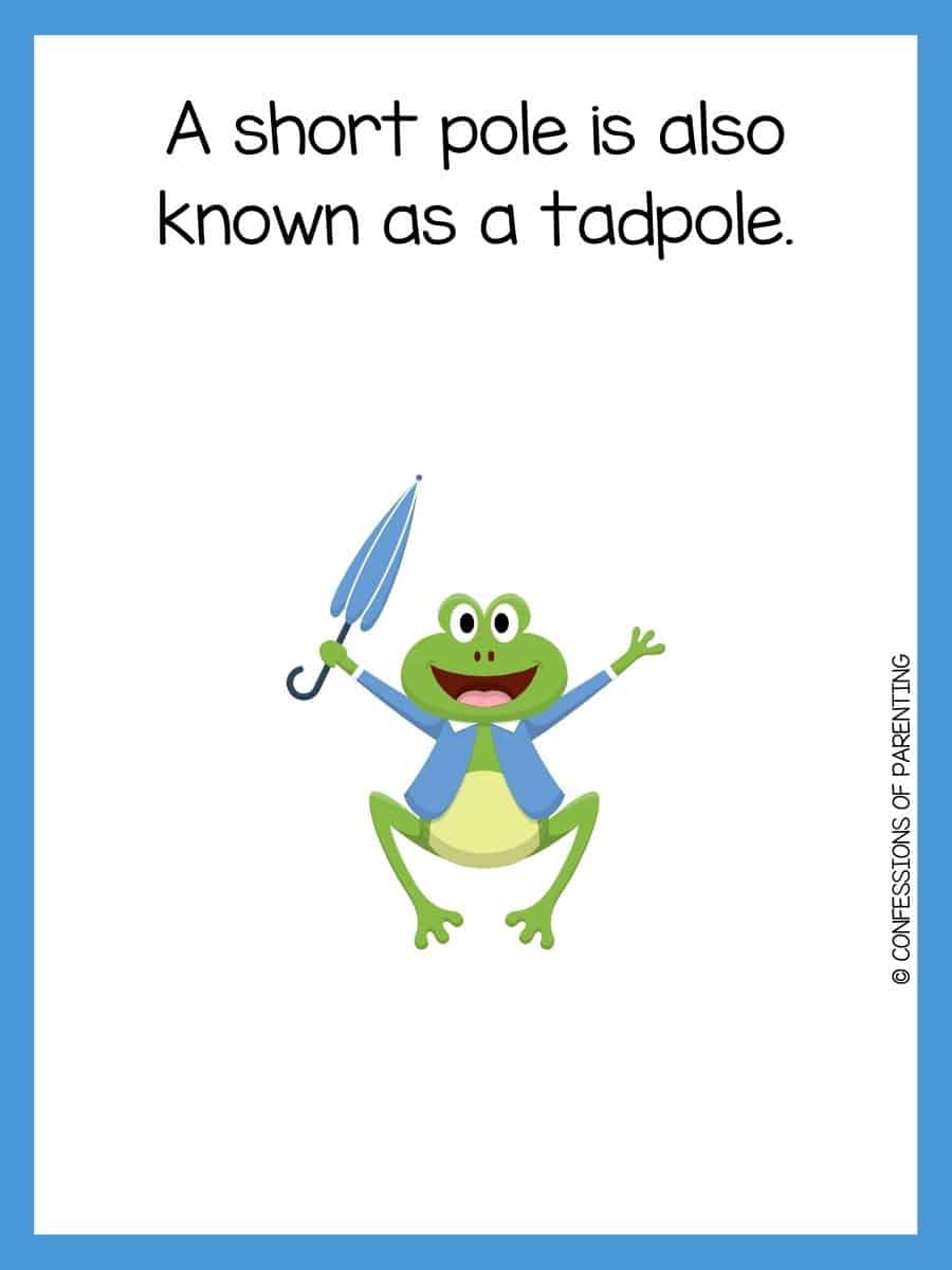 75 Best Frog Jokes That Make You Ribbit