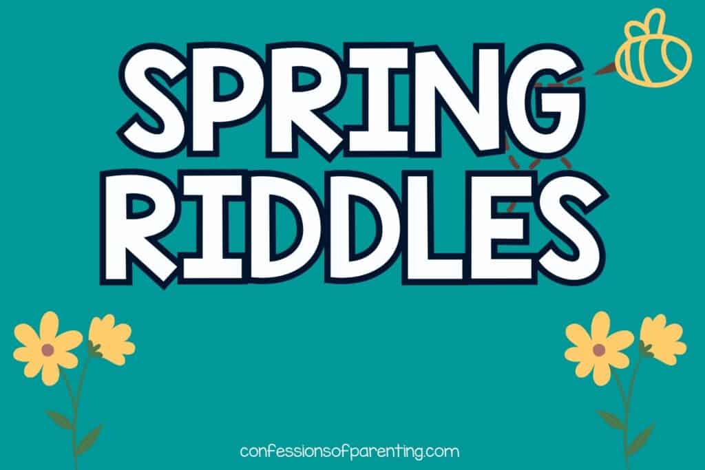 2 bunches of yellow flowers with yellow bee on green background with white text that says spring riddles