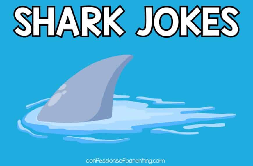 100+ Best Shark Jokes that Are Fin-Tastic