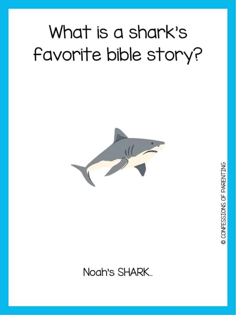 shark joke with grumpy white and gray shark with blue border.