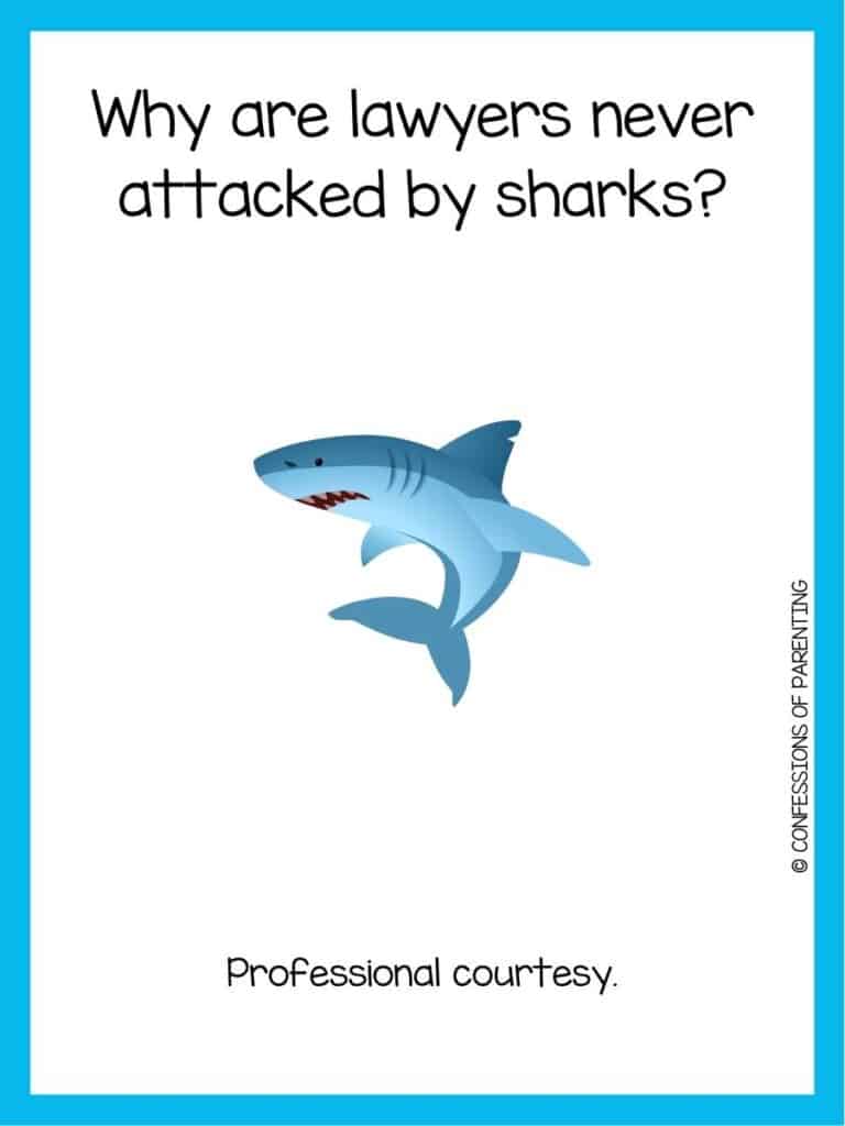 shark joke with a blue shark turning with a knick in its dorsal fin with a blue border.