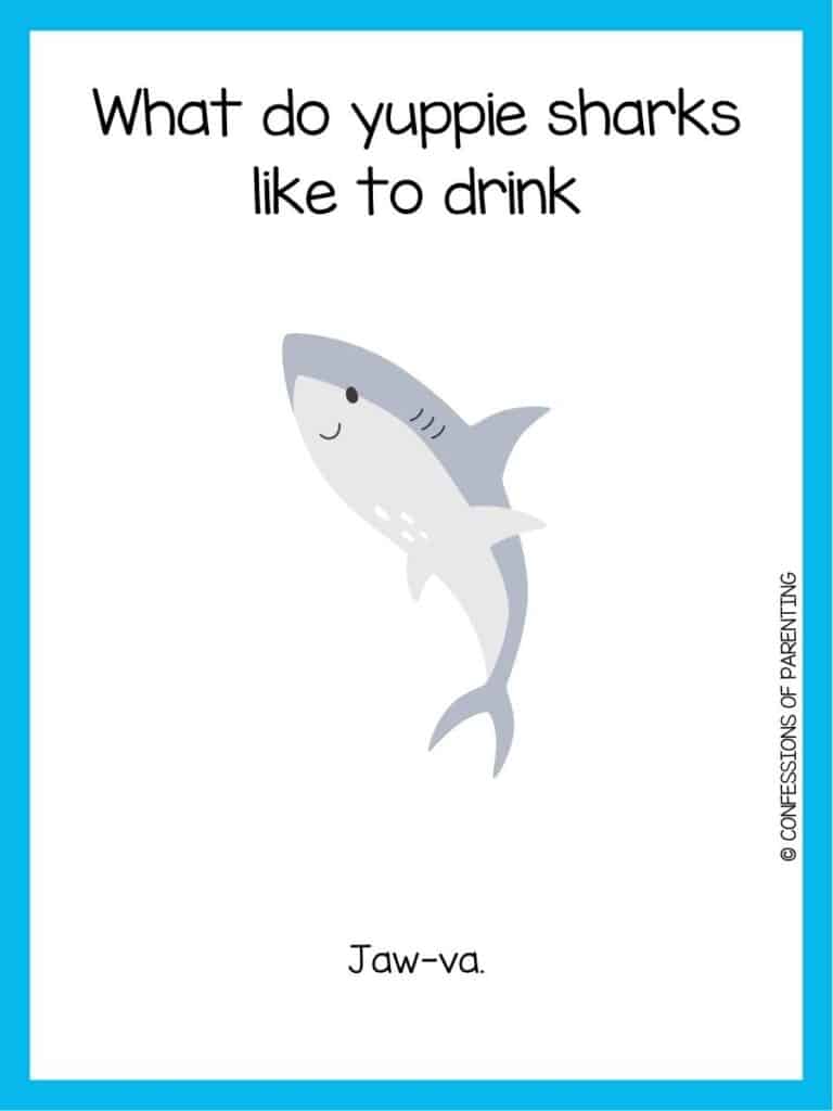 shark joke with a smiling shark with four white dots on its belly with a blue border.