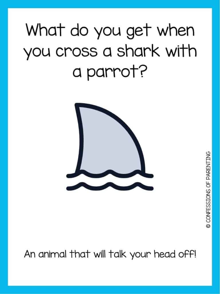 shark joke with shark fin on two wiggly lines that represent water with a blue border.