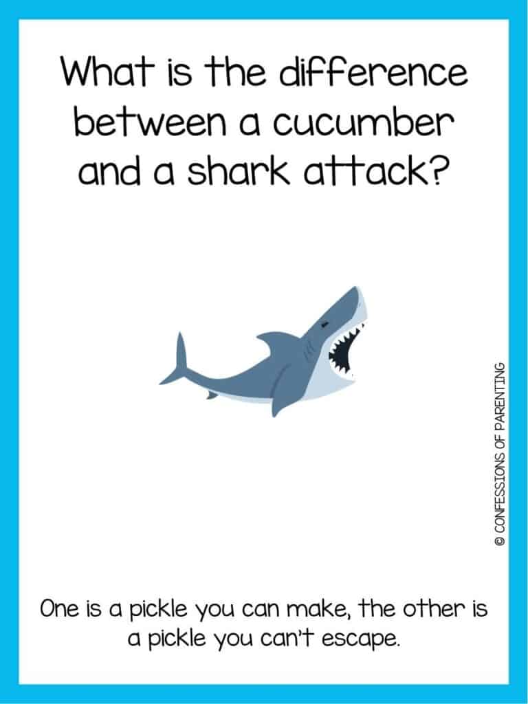 shark joke with shark who's mouth is open about to bit something with a blue border.