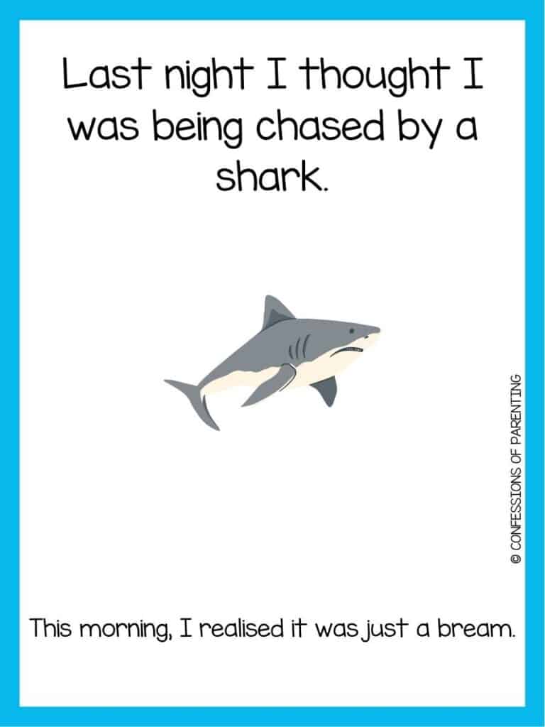 shark joke with grumpy white and gray shark with blue border.