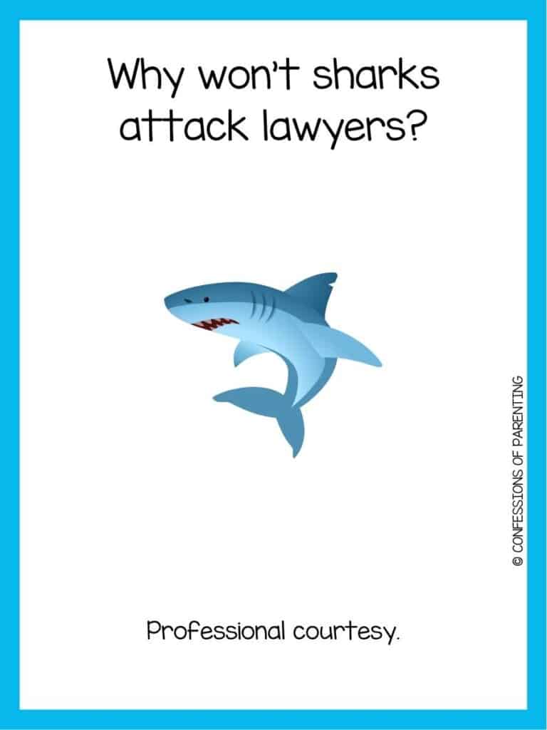 shark joke with a blue shark turning with a knick in its dorsal fin with a blue border.
