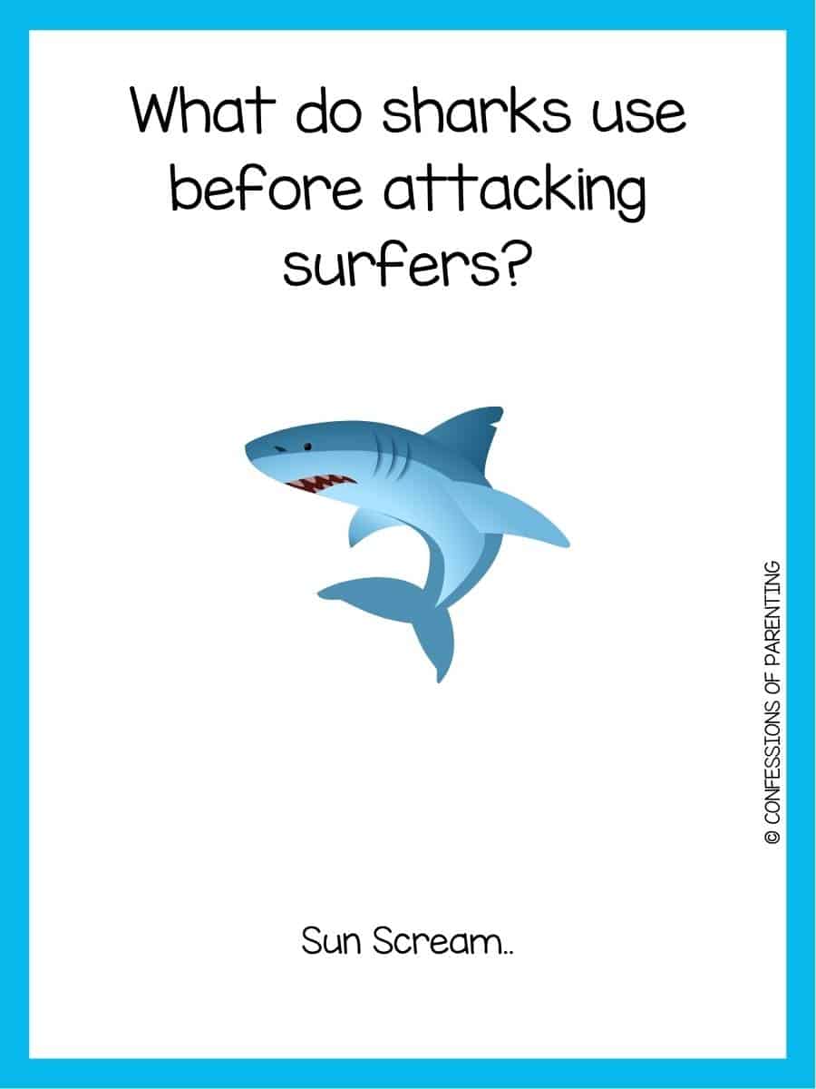 100+ Best Shark Jokes that Are FinTastic [Free Joke Cards]