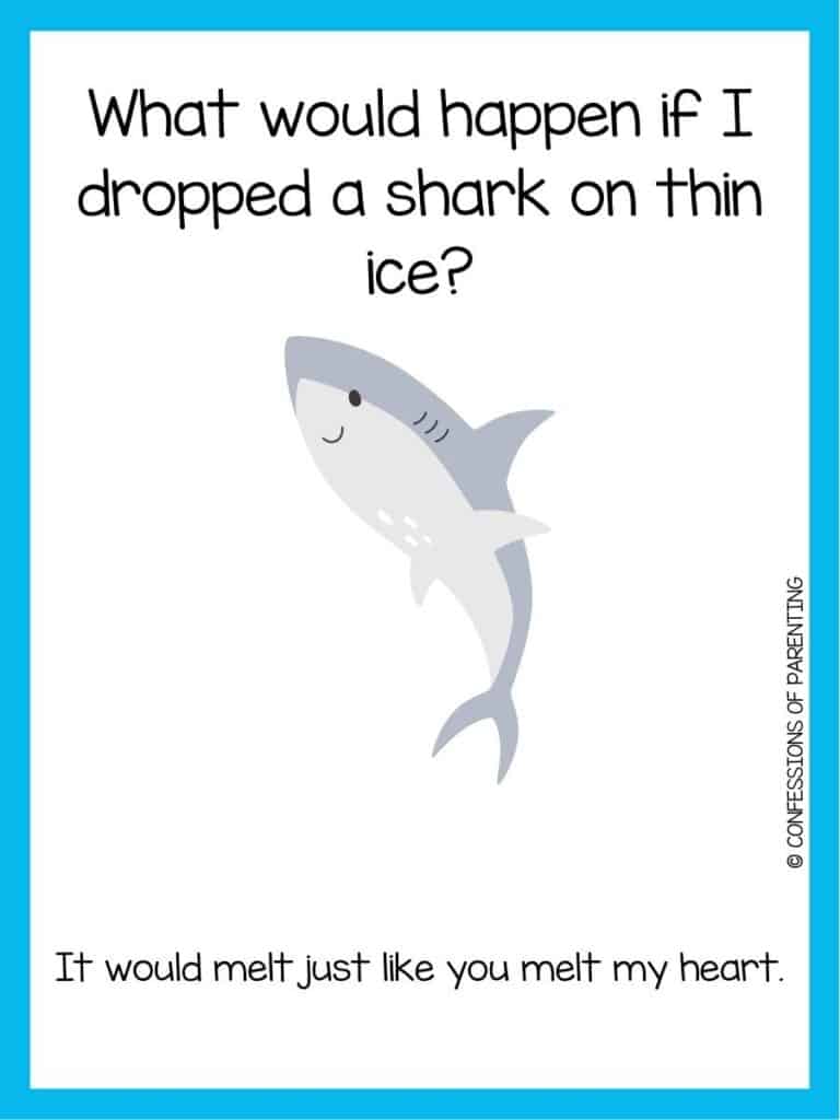 shark joke with a smiling shark with four white dots on its belly with a blue border.