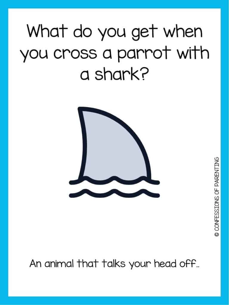shark joke with shark fin on two wiggly lines that represent water with a blue border.