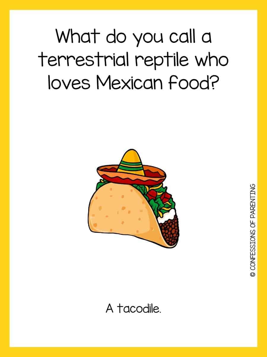70+ Best Taco Jokes That Will Make You LOL