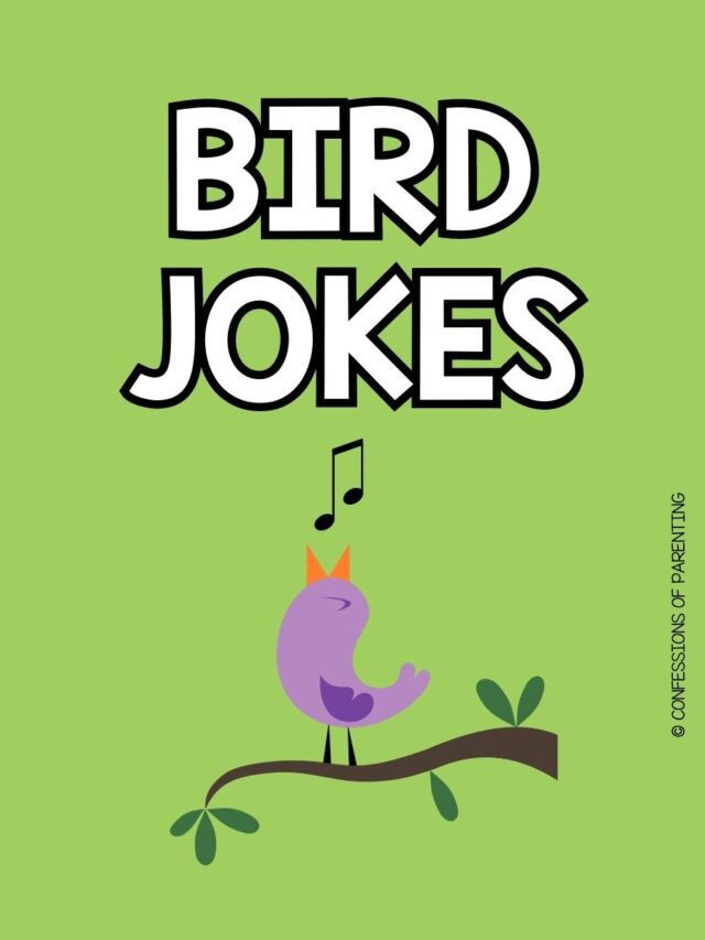 101 Best Bird Jokes That Make You LOL