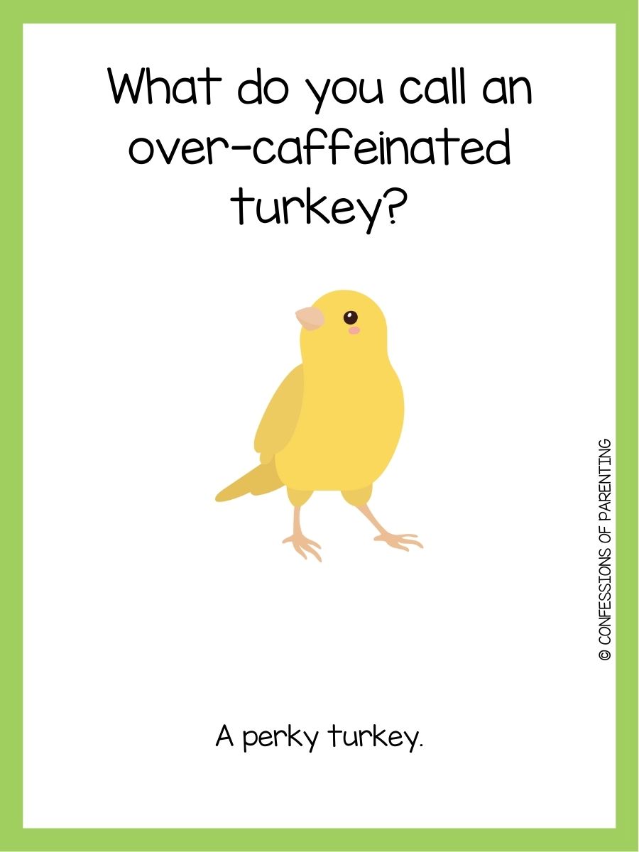 101 Best Bird Jokes That Make You LOL