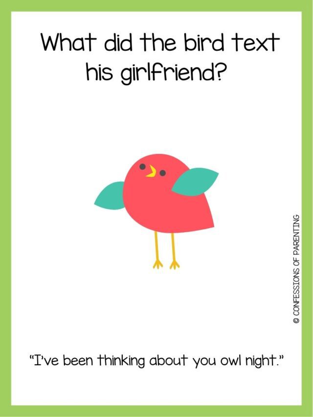 101 Best Bird Jokes That Make You LOL
