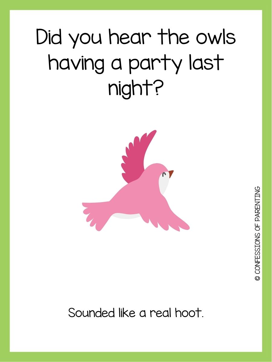 101 Best Bird Jokes That Make You LOL