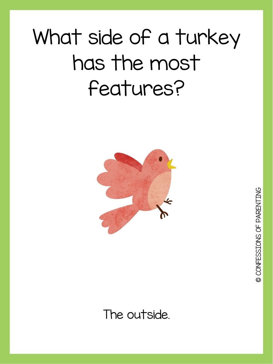 101 Best Bird Jokes That Make You LOL