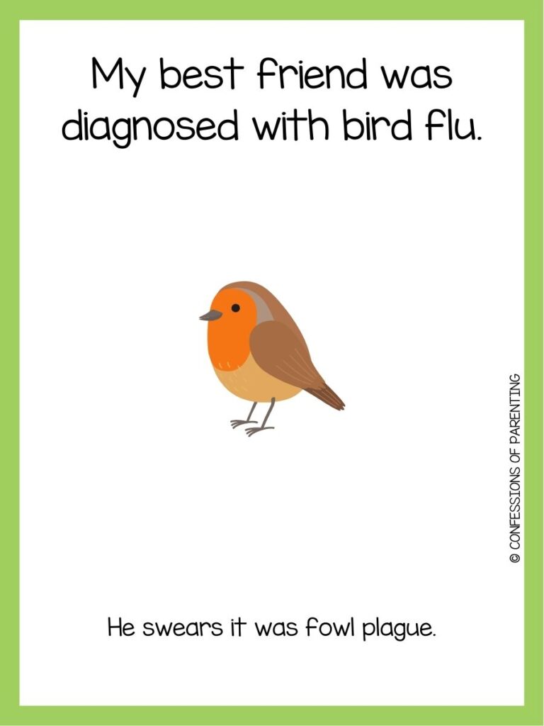 in post image with white background and green border, bird joke text and an image of a bird