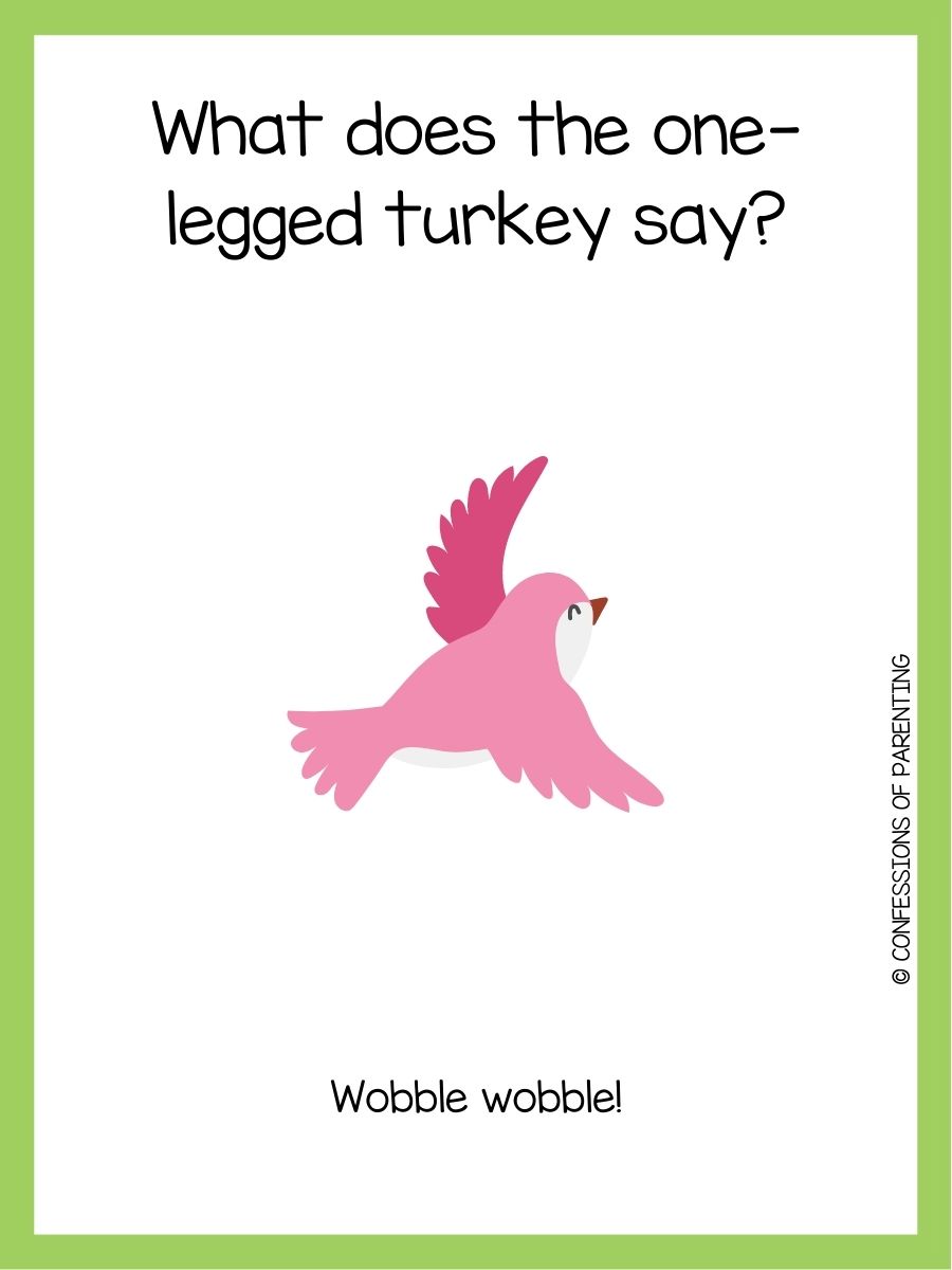 101 Best Bird Jokes That Make You LOL