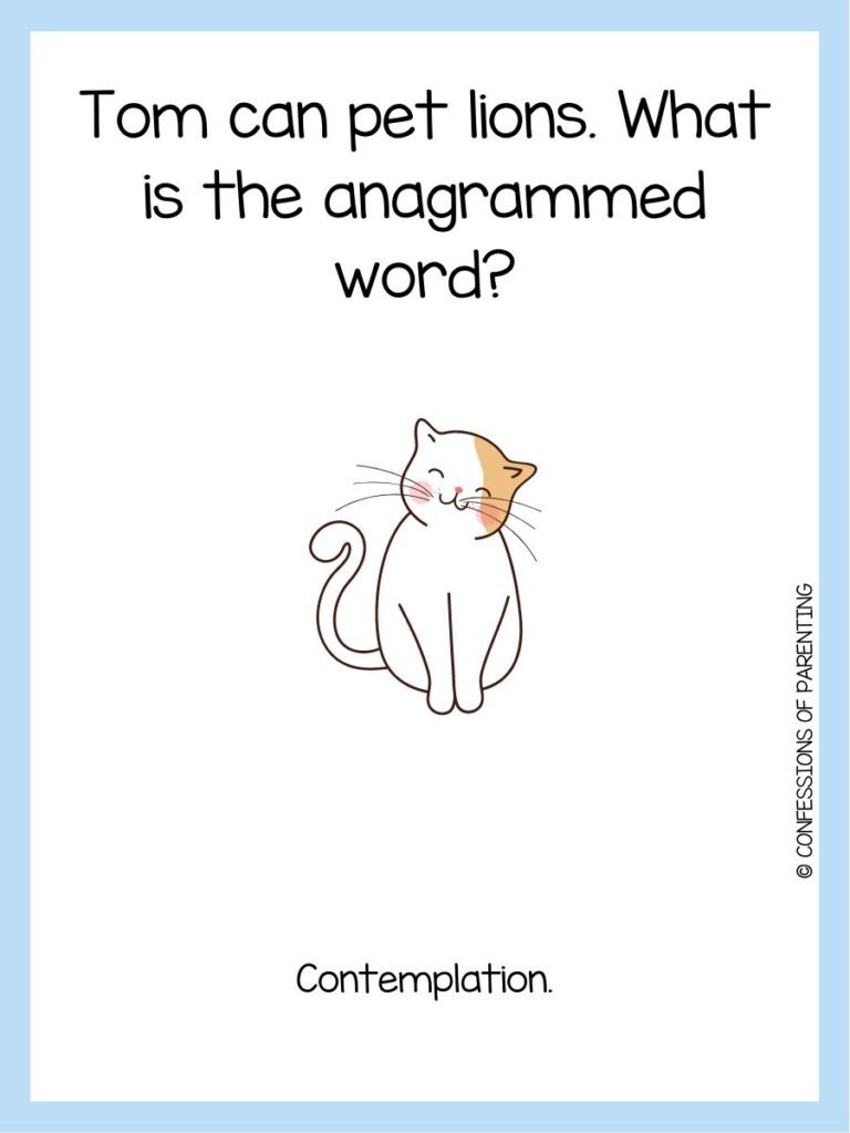 Tricky Ccat Riddles 50+ Best Cat Riddles That Will Have You Purring With Delight