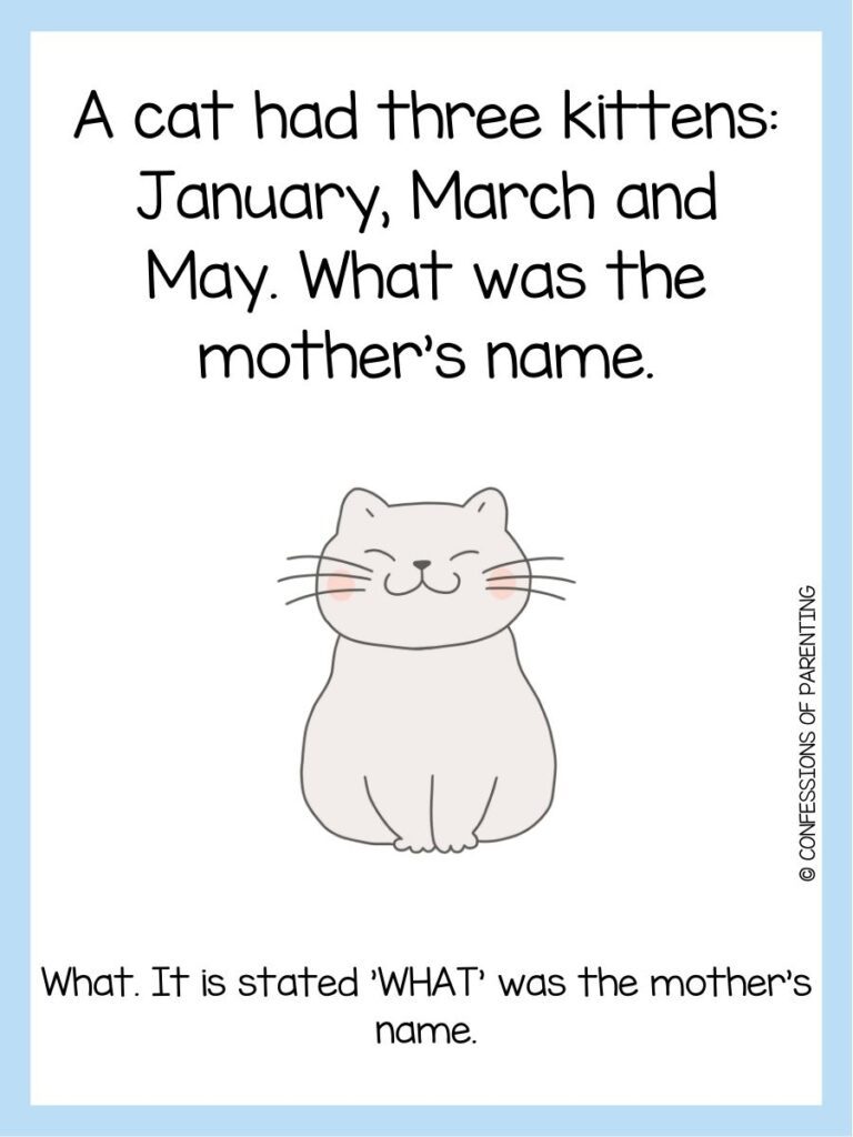 in post image with white background and blue border, text with a cat riddle, and an image of a cat