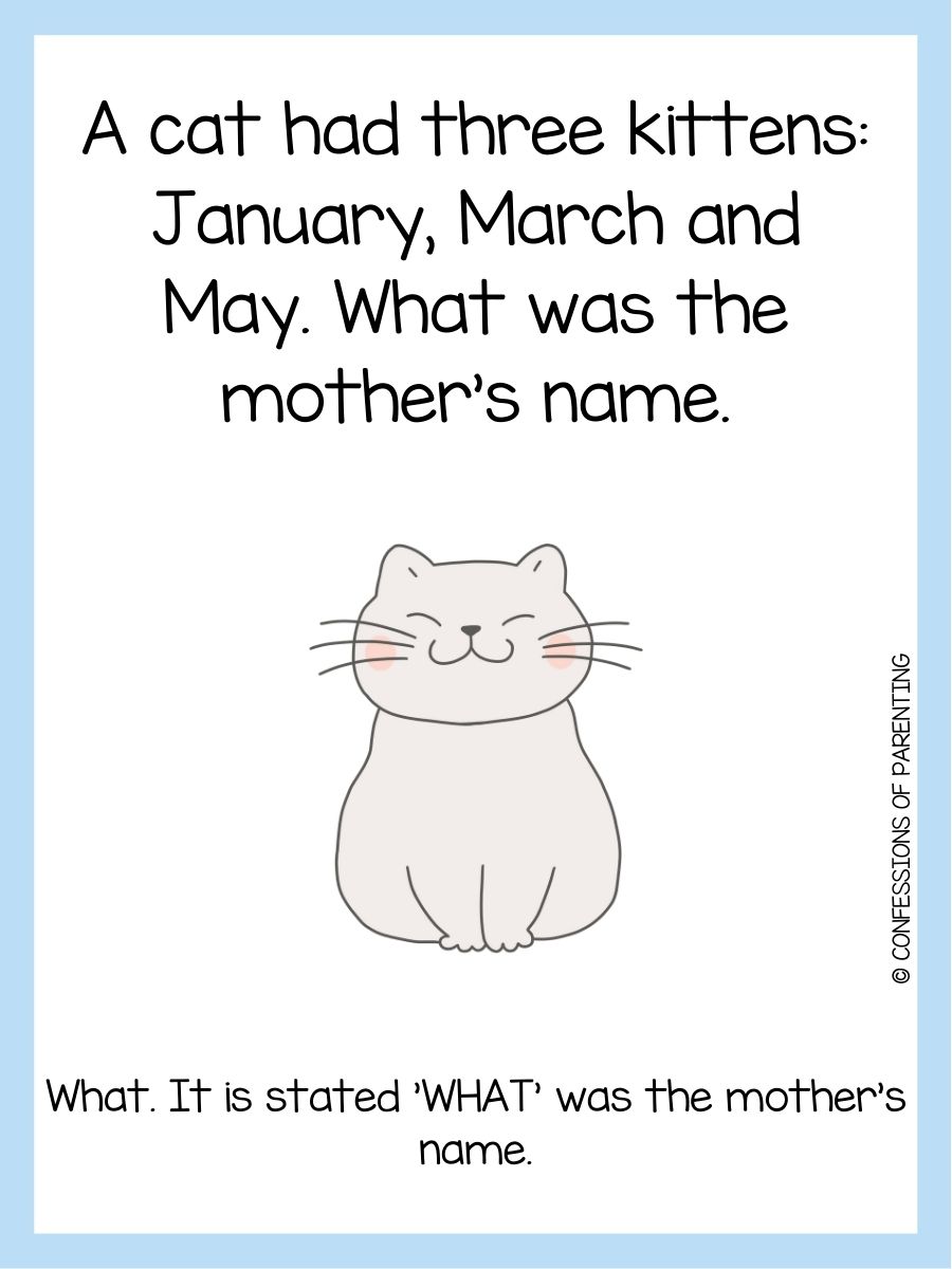 50+ Best Cat Riddles [Free Riddle Cards]