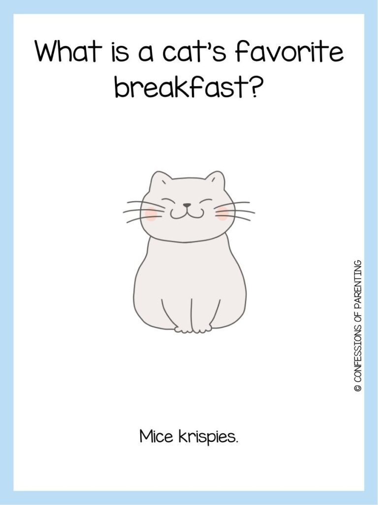 50+ Best Cat Riddles That Will Have You Purring With Delight