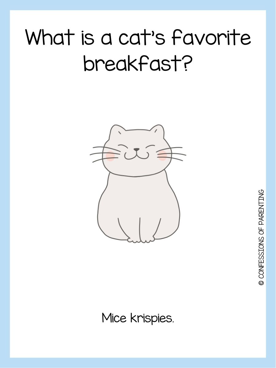 50+ Best Cat Riddles That Will Have You Purring With Delight