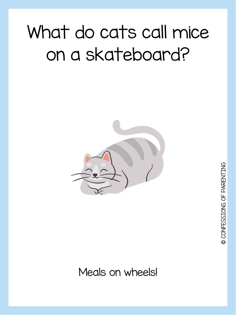 50+ Best Cat Riddles That Will Have You Purring With Delight