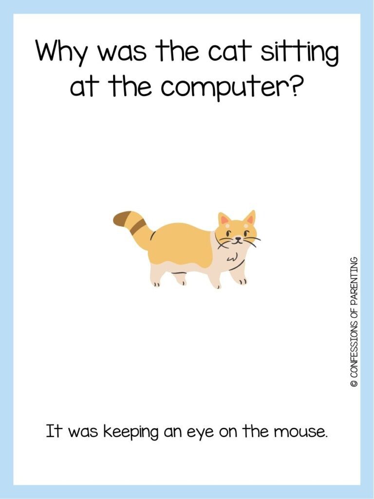 in post image with white background and blue border, text with a cat riddle, and an image of a cat