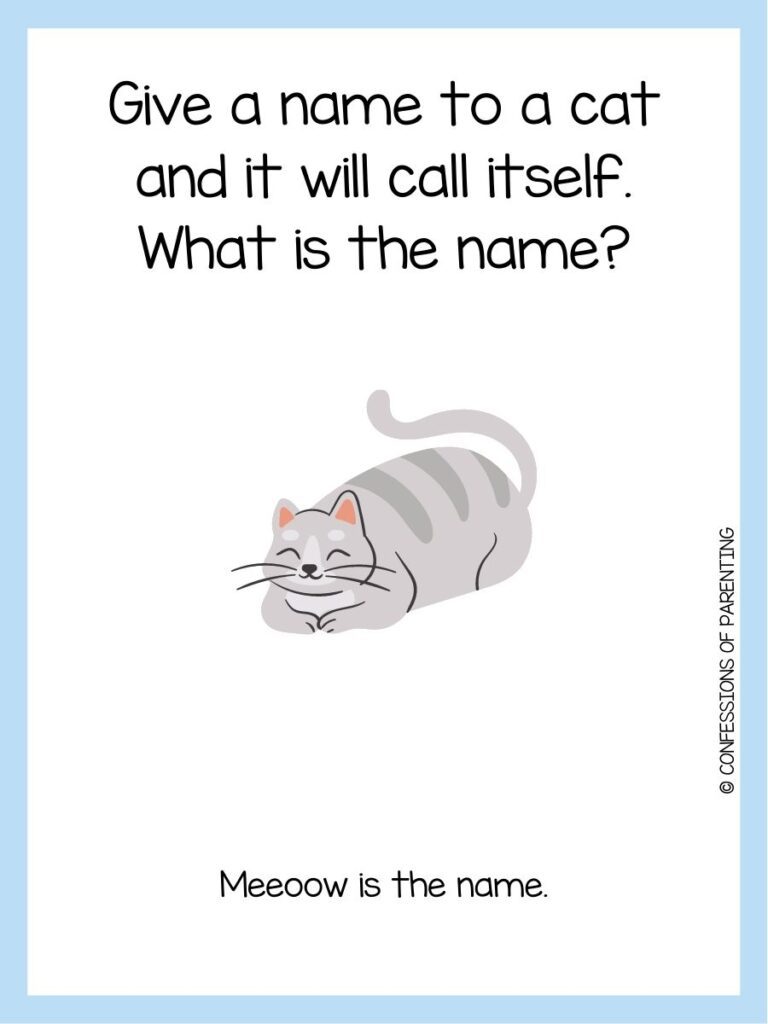 in post image with white background and blue border, text with a cat riddle, and an image of a cat