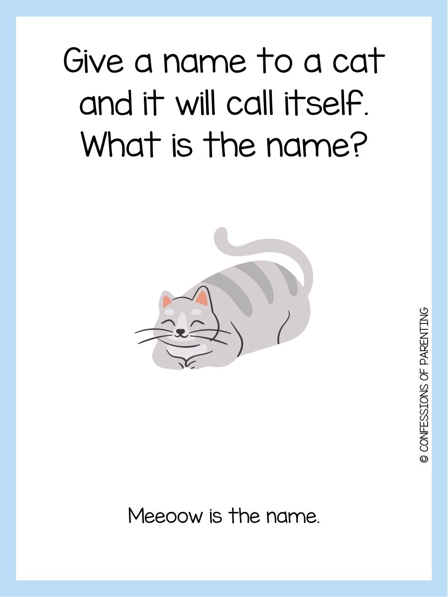 50+ Best Cat Riddles [Free Riddle Cards]