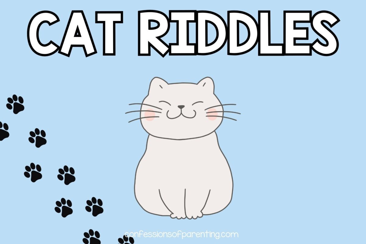 50+ Best Cat Riddles That Will Have You Purring With Delight