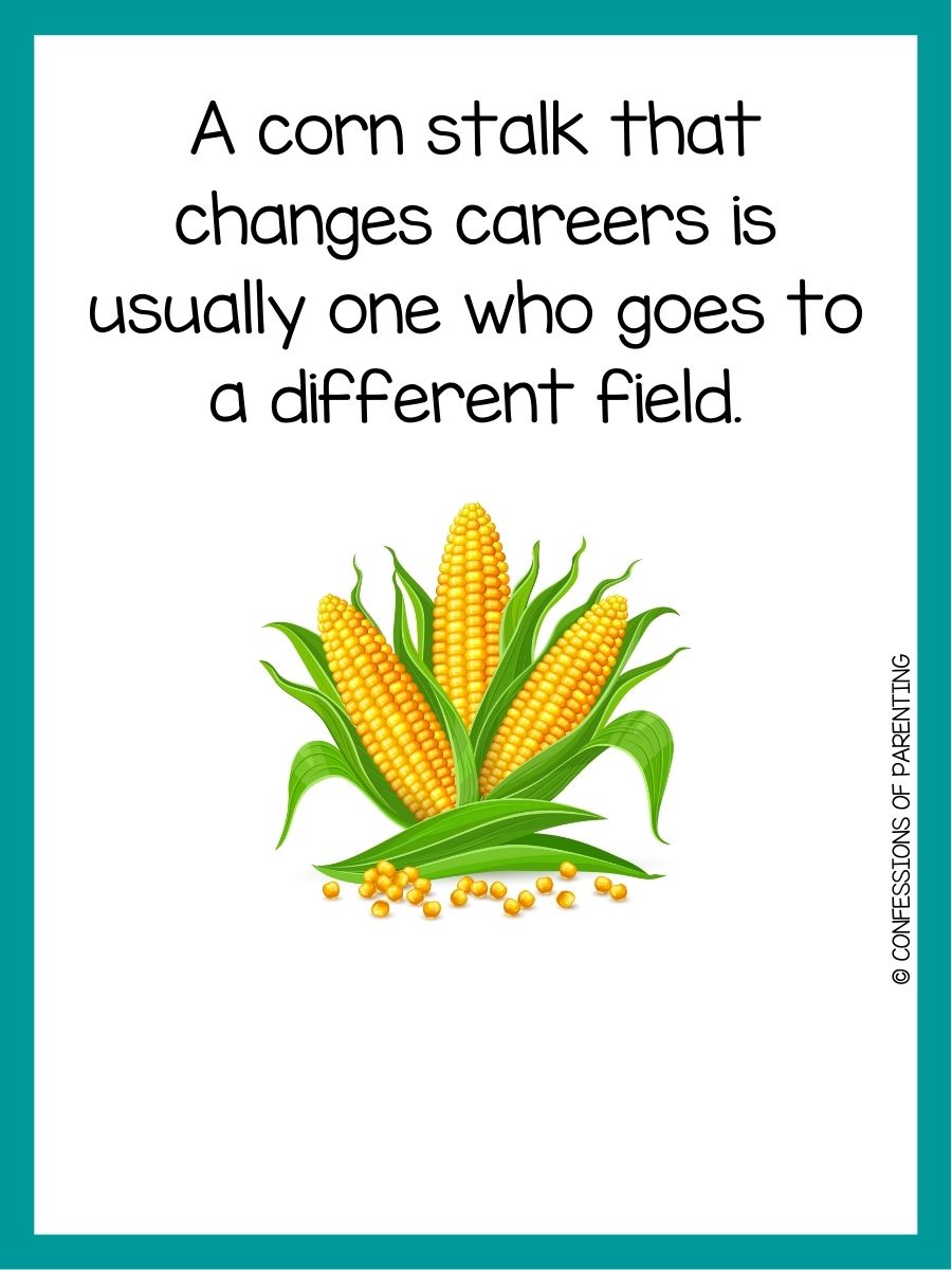 105 Best Corn Jokes Popping with Laughter [Free Joke Cards]