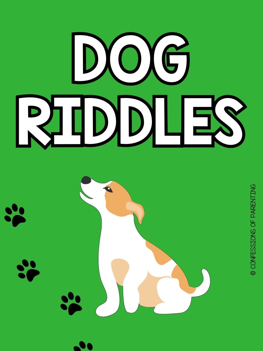45 Pawsome Dog Riddles That Will Have YOu Wagging Your Tail