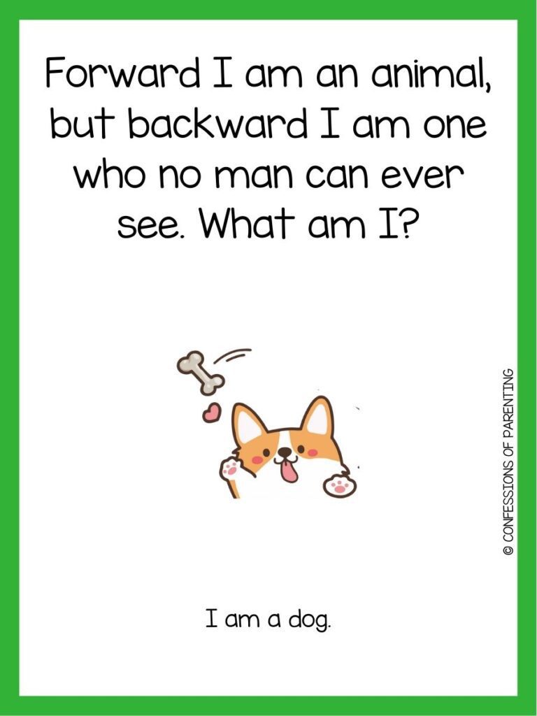 in post image with white background, green border, black text with dog riddle, and an image of a dog