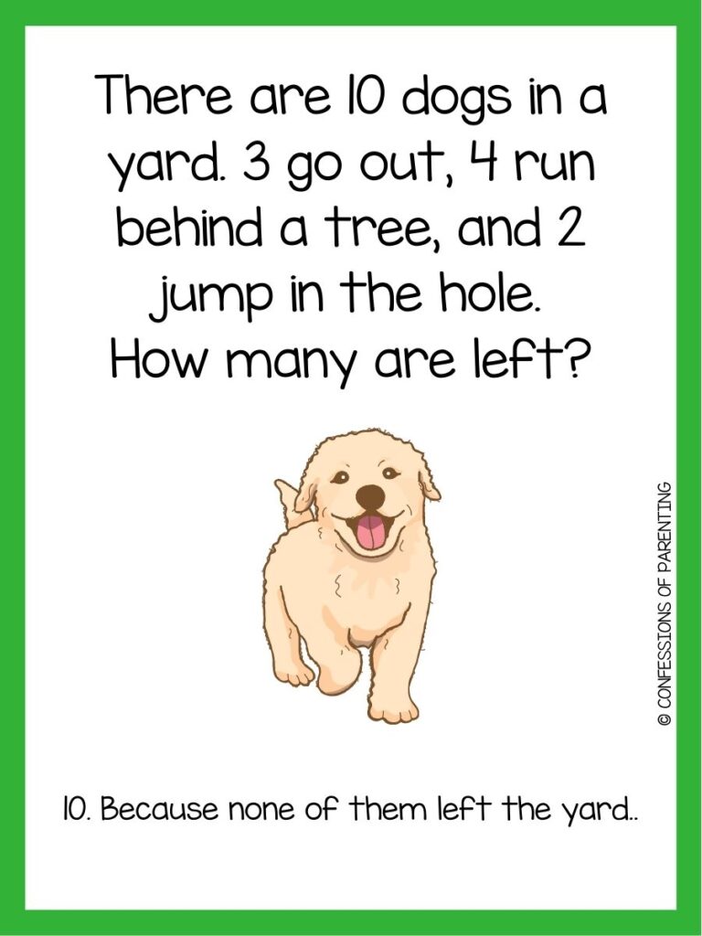 45 Pawsome Dog Riddles That Will Have YOu Wagging Your Tail