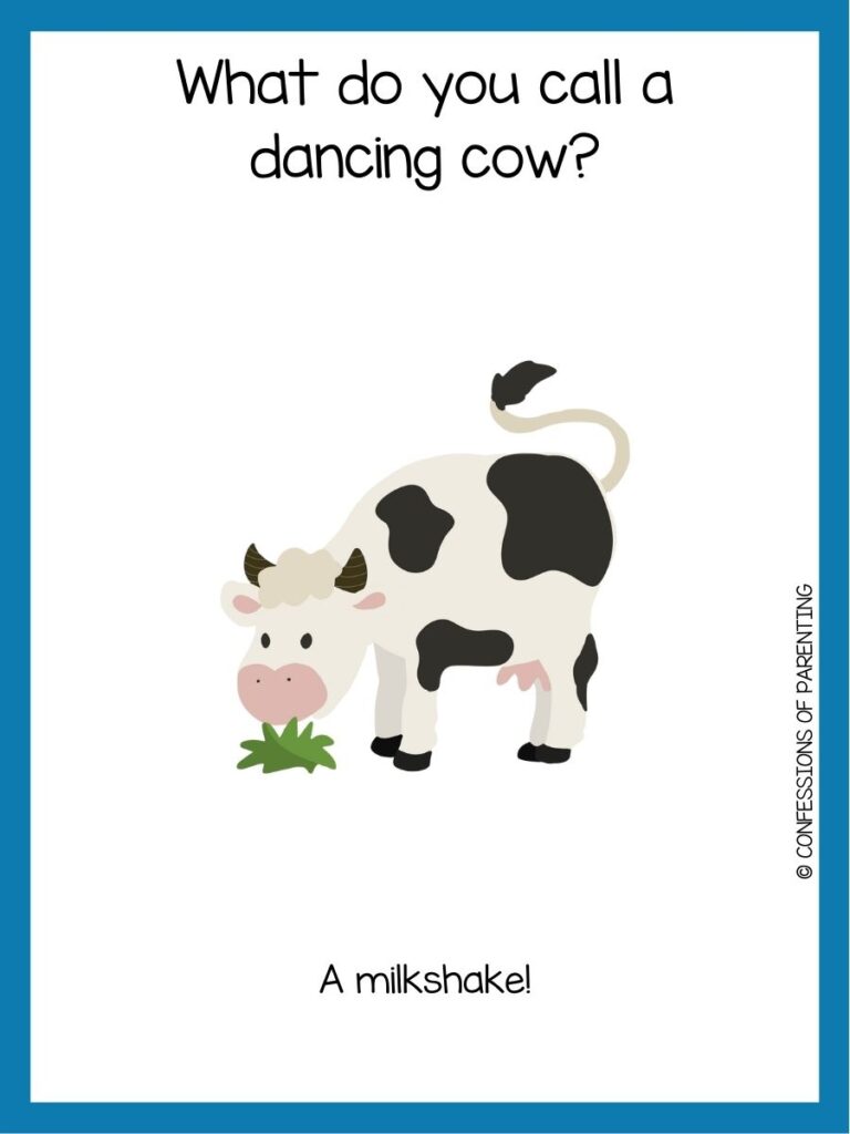 in post image with white background and blue border, text with a toddler joke and image of a cow